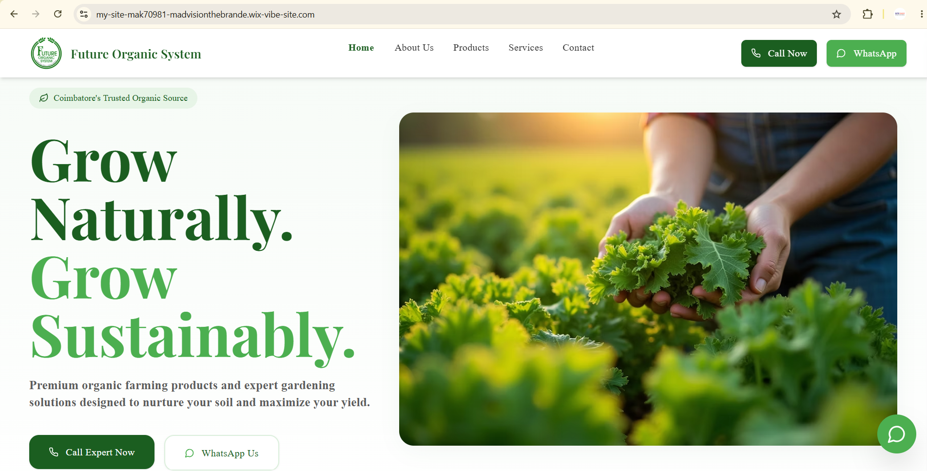 Nursery website โ futureorgsys.ind.in